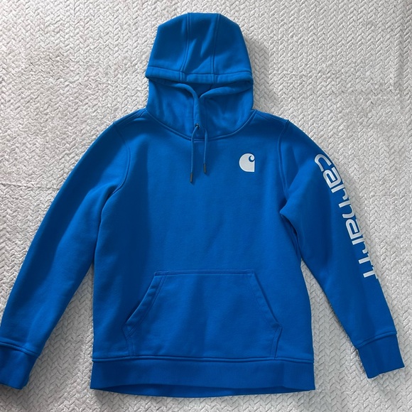 Carhartt Women’s Relaxed Fit Mid-weight TS0288-W Graphic Hoodie Size Large Blue - Picture 1 of 14
